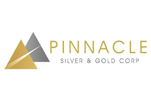 Pinnacle Silver Gold Logo